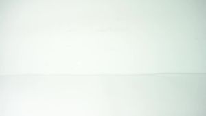 Turkesterone Weight Gain Capsules 60 Capsules