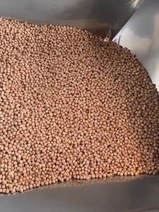 鹰嘴豆生 400g-800g Raw Chickpeas 新疆特产五谷杂粮 Kacang Kuda Mentah