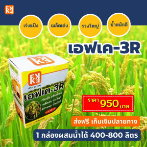 อ้อย ปล้องสั้น ต้นผอม ใบเล็ก ใบซีด โตช้า อ่อนแอ อาจเกิดจากการขาดสังกะสี Zn ใช้ ปุ๋ย FK-1 ฉีดพ่น