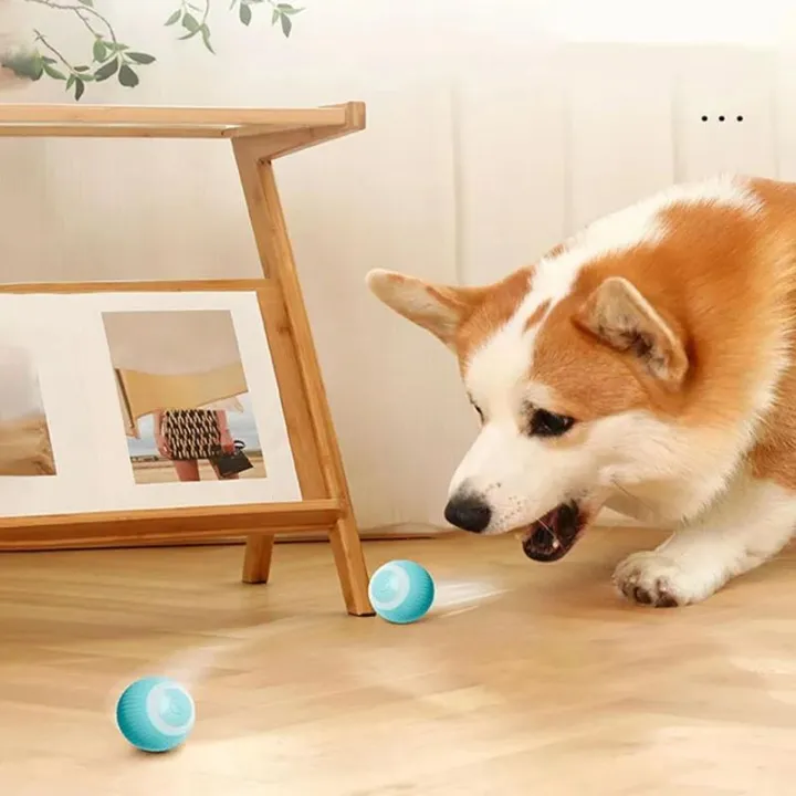 Po&Co Smart Rolling Ball