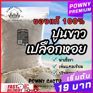 ปูนขาวเปลือกหอยแท้ 1 กิโล ขายส่ง ฆ่าเชื้อรา โรยเล้าไก่ แก้ปัญหาใบงอ ใบหยิก รากเน่า เพิ่มแคลเซียม