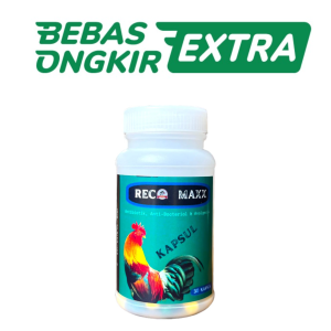 RECO MAXX 30 KAPSUL - obat ayam ngorok snot pilek