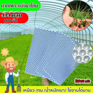 ถาดเพาะกล้านาโยน (แบบหนา) 434 หลุม 100 ชิ้น ถาดกล้านาโยน ถาดเพาะกล้านาโยน ใช้เพาะเมล็ดข้าว