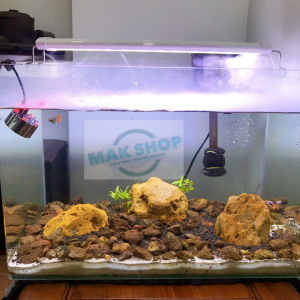 Máy Tạo Khói Máy Phun Sương Mini Cho Hồ Cá Cảnh Hồ Thủy Sinh Hồ Non Bộ Tiểu Cảnh Chậu Nước Thủy Tinh Nguồn Adapter 25v