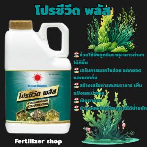 โปรซีวิคพลัส สาหร่ายเปิดตาดอก แกลลอน 5 ลิตร(ดวงตะวันเพชร)
