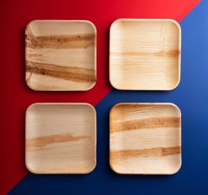 Disposable Biodegradable Eco Friendly Areca Palm Plates - Pick ALeaf 8" SHALLOW SQUARE SNACK PLATE (20 pcs) Suitable for birthday wedding catering and events