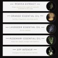 Rene Furterer TRIPHASIC Strengthening Shampoo - Thinning Hair - Fortify Hair's Strength - Scalp Nutrition - For Men & Women. 
