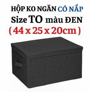 Hộp đựng quần áo KHÔNG NGĂN hộp đựng đồ có nắp chống bụi sap xep tu quan ao luôn sạch sẽ ngăn nắp thùng đựng đồ chơi