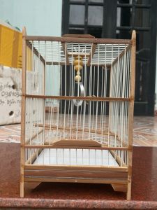 Khung lồng chim khuyên nan cáp quang BIRDBRAN - khung lồng khuyên kèm móc nậm khung lồng chất liệu trúc già xử lí ( tặng keo )