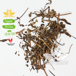 Kumis Kucing Kering 500gr Asli Hutan