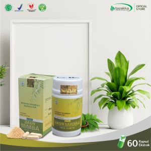 Kapsul Daun Mimba Ekstrak Obat Kanker Antioksidan Alami Herbal