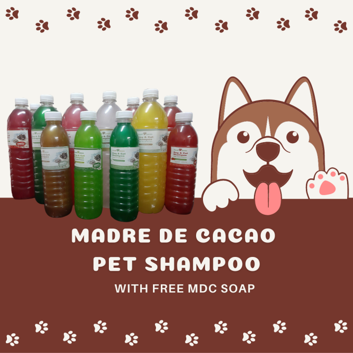 1 LITER MADRE DE CACAO SHAMPOO W/ CONDITIONER FOR YOUR DOGS AND CATS
