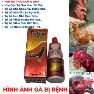 HEN ĐỎ Thái Lan Tr.ị Kh ò Khè Cho Gà Đá Dạng Nhỏ 1 LỌ .Hen Đỏ Dùng Cho Gà Chảy Nước MắtSổ MũiBọt Mắt Khó Thở ở Gà.