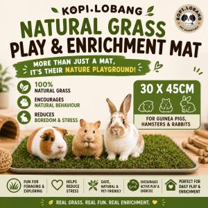 ✅[SG] REAL Natural Grass Enrichment Mat for Rabbits Guinea Pigs & Hamsters | Real Grass Play Mat | 30 × 45cm