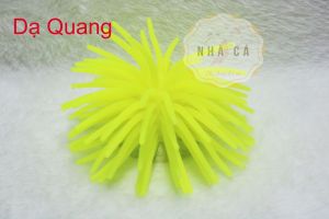 NHÍM BIỂN MINI - NHẮN TIN CHỌN MÀU - PHỤ KIỆN TRANG TRÍ HỒ CÁ- HỒ THỦY SINH