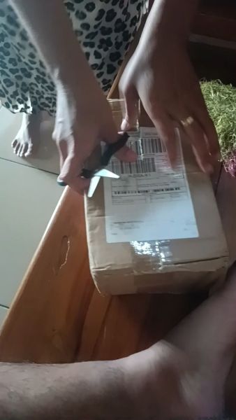 Buyer review video 2