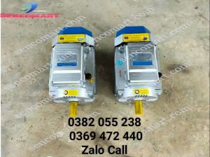 Mô tơ động cơ điện 1 pha 3kw Toàn Phát 2900v/p chính hãng tại Đồng Nai