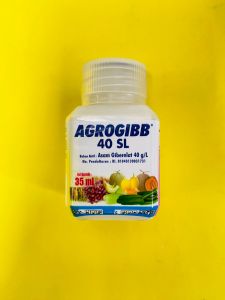 Zat Pengatur Tumbuh AGROGIBB 40SL kemasan 35ml dari GLOBAL AGROTECH