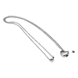 Pet Urn Necklace for Ashes Cremation Heart Charm Necklace Neck Supplies for Pet Memorial Accessories