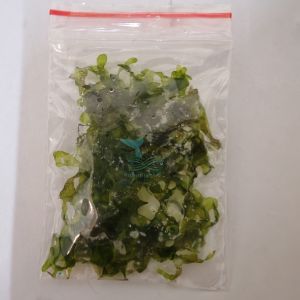 Pelia Moss Home Grown HappyFishLife