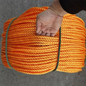 (PE) NYLON ROPE (10meters) diameter 3-10mm Nylon cord