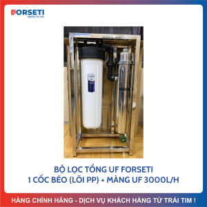 Bộ Lọc Tổng Đầu Nguồn Công Suất Lớn Với Màng Siêu lọc UF 3000L/H Lọc Nước Đầu Nguồn Lọc Nước Sinh Hoạt
