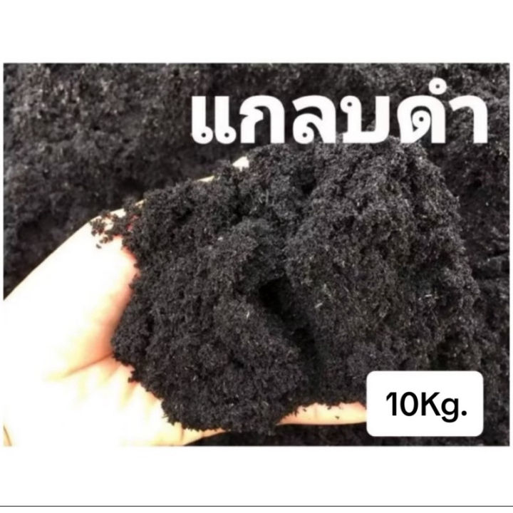 แกลบดำ แกลบเผา เกรด A แบบกระสอบ 9-10 กก. สำหรับสวนขนาดใหญ่