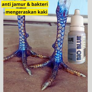 bio blue perawatan kaki ayam anti jamur bakteri mengeraskan kaki sobatayam