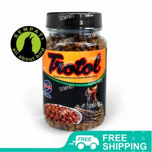 SEMPATI Pakan Loloh Burung Murai Batu Trotol Premium Ebod Jaya Kemasan Toples Pakan Bubur Lolohan Piyik Anak Burung Murai Trobtl