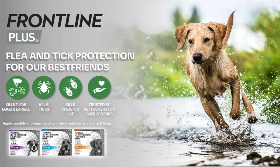 Frontline safe for pregnant dogs best sale