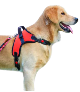 (STOCK CLEARANCE-GOOD QUALITY)Von Bonjour Cat Dog Pet Cat Vest Harness And Leash Set Harness Baju Kucing Pet Vest Pet Leash Soft Breathable Air Nylon Mesh