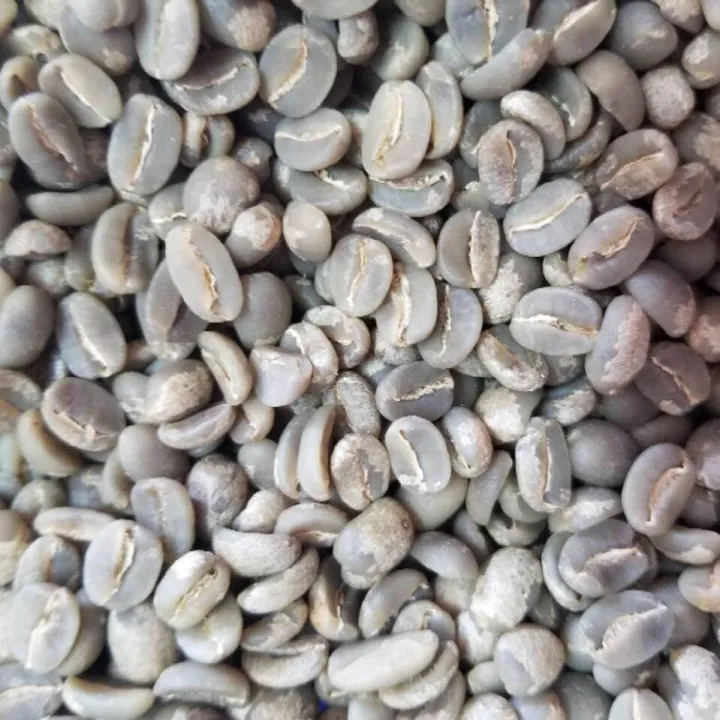 0.5kg cà phê nhân sống chưa rang Robusta Đắk Lắk - Arabica Cầu Đất