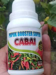 Pupuk cabe rawit Pelebat buah Booster cabe rawit Pupuk Organik cair Cabai rawit masa bunga buah