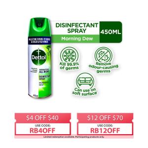 Dettol Disinfectant Spray Morning Dew 450ML