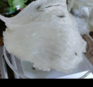 [EJS] Bird Nest Grade Super Featherless Gift Box ( B 100g) - 轻毛燕盏礼盒  Sarang Burung Berbulu Sikit