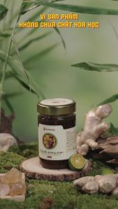 Cốt Gừng Tắc Đường Phèn Mật Ong An Khương - Gừng Kỳ Sơn 220ml