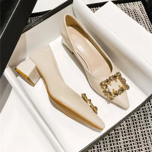 Beige Pointed Toe Block Heels  2 Inch Low Heels  Korean Style Soft & Elegant  Women Formal Shoes