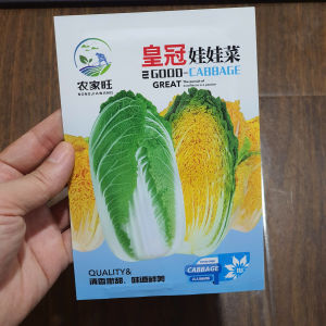 Hạt Giống Cải Thảo Năng Suất Giòn Ngọt Giàu Dinh Dưỡng Hạt Giống Nhập Khẩu - Yến Liên shop