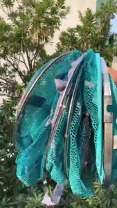 Rọng Cá JEANG YUE Màu Xanh Nhã Lam Khung Kim Loại
