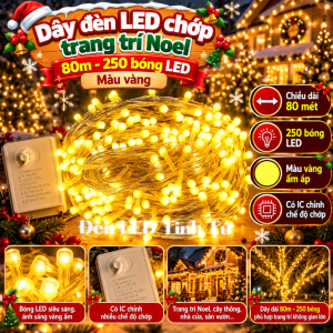 Đèn LED Dây Chớp 80m 250 Bóng Trang Trí Cây Thông Noel Sân Vườn Loại bóng V8 to