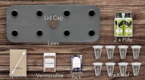 Hong Kong Choy Sum Seeds 1/6Pack Vege Seeds Pack Indoor Growing Indoor Gardening Home D cor Hydrophonics