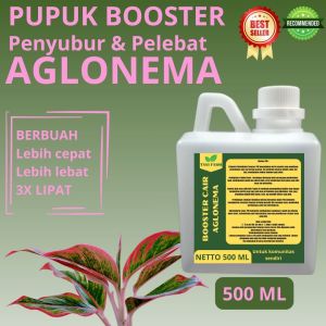 Pupuk Pelebat Aglonema / Pupuk Aglonema / Pupuk Booster Aglonema / Pupuk Aglonema