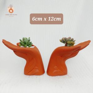 Chậu đất nung Bình Dương - Bàn tay của người tôi yêu miệng chậu 6cm chiều cao 15cm