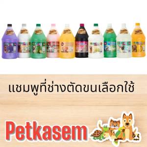 เพ็ทเฮง แชมพูอาบน้ำ สุนัข เเมว เเละสัตว์เลี้ยง ลดคัน ขนล่วง สูตรขนนุ่ม หอมนาน เลือกสูตรได้ขนาด 3 ลิตร