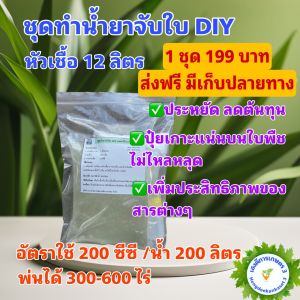 ชุดทำสารจับใบ น้ำยาจับใบ DIY หัวเชื้อ 12 ลิตร