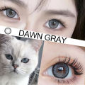 [COD] MYSTICEYES SOFTLENS DAWN GRAY NORMAL S/D MINUS -6.00 14.5 MM. 