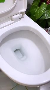 HOT Toilet Bowl Cleaner / Effervescent Tablet / Deodorizing Tablet Powerful Descaler Septic Safe Odor Remover for CR