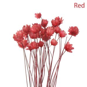 YUDESHUI 30pcs DIY Crafts Natural Plants Wedding Supplies Small Star Mini Daisy Floral Bouquets Artificial flowerss