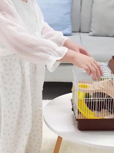 LZD Djungarian Hamster Cage: A Comprehensive Guide