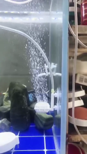 Bể cá oxy bong bóng đá Ống bơm hơi Phụ kiện cho hồ cá bể cá cho chất lượng nước cho những người đam mê cá